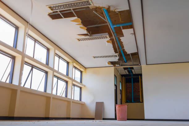 Best Water damage mitigation services  in Ellitt, CO