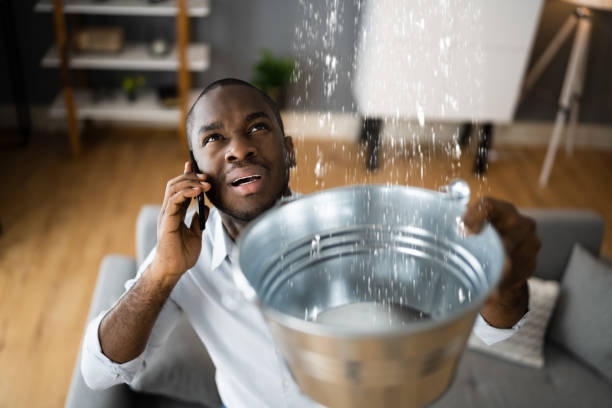Best Water damage restoration near me  in Ellitt, CO