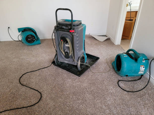 Trusted Ellicott, CO Water damage restoration Experts
