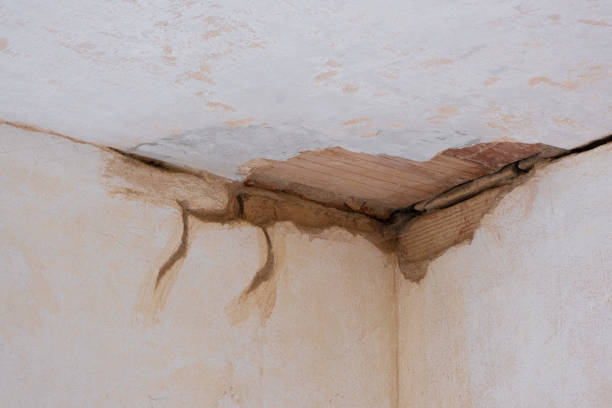Best Water damage restoration cost  in Ellitt, CO