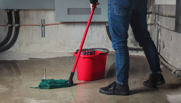 Best Flood restoration services  in Ellitt, CO