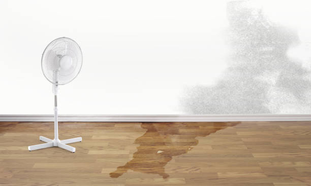 Sewage cleanup and water damage restoration in Ellicott, CO