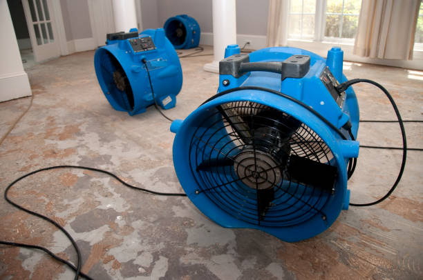 Best 24-hour water damage restoration  in Ellitt, CO