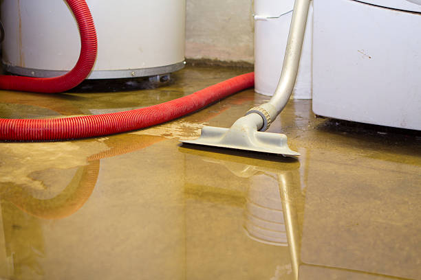 Best Flooded house restoration  in Ellitt, CO