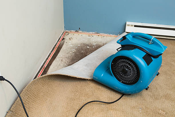 Best Water damage restoration insurance claims  in Ellitt, CO